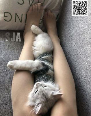 欧美偷拍日韩_DVD免费观看超清